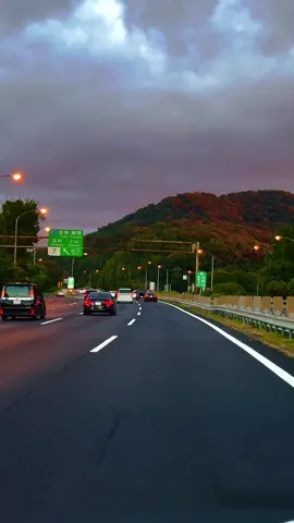 This is your sign to go on a sunrise highway drive in Japan 🌅😍  #japan #fyp #foryou #foryoupage #onemillionaudition 