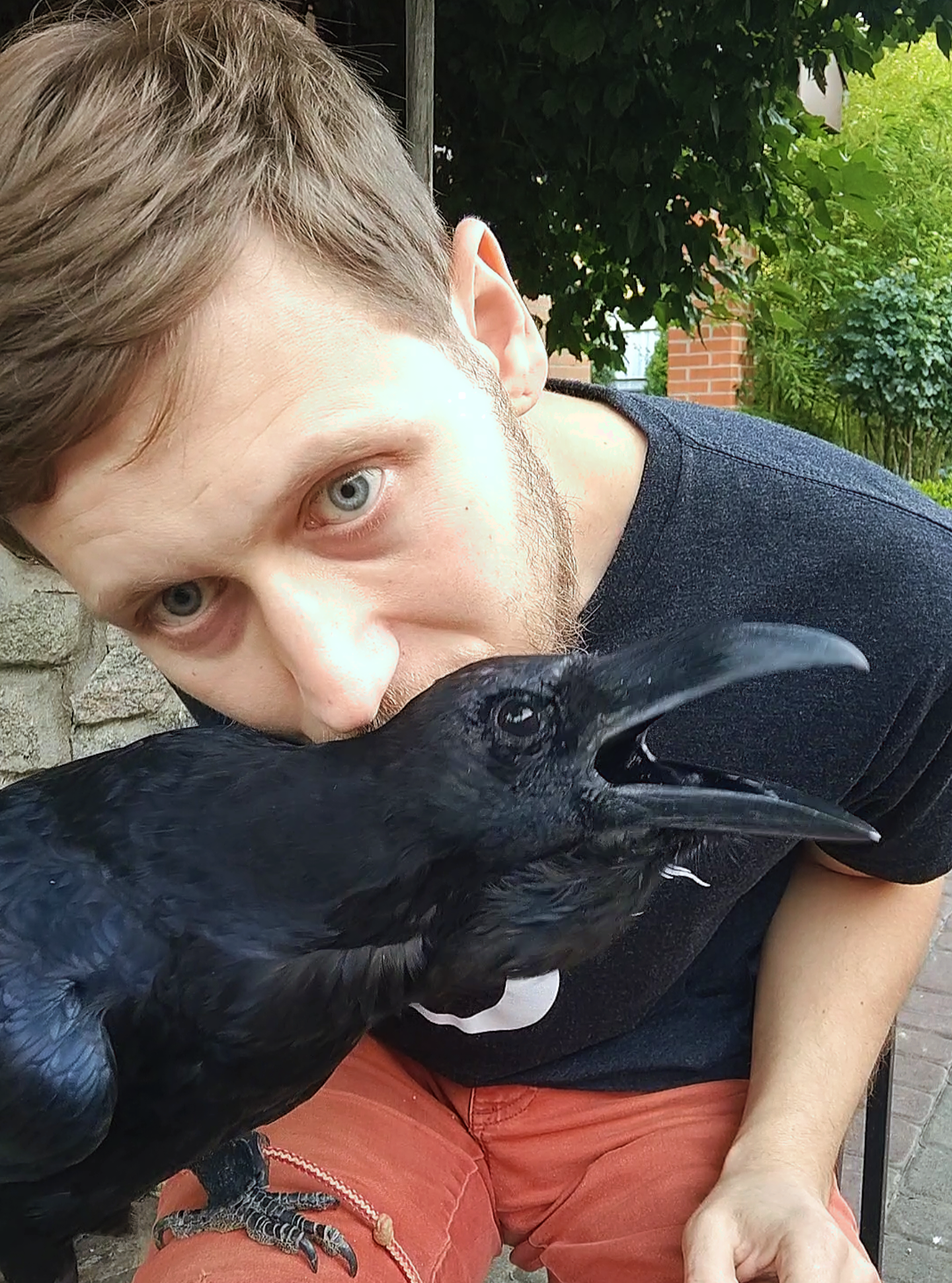 #FYP #TalkingRaven #BirdLovers #ГоворящийВорон #Viral