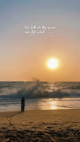 හිරු මැකී යයී නීල අහසේ.... . . . #fyp #srilanka #sunset #beachvibes 