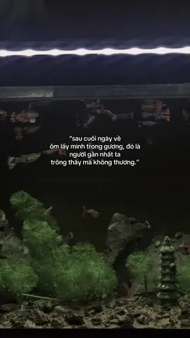 🫂🫂🙂‍↔️#viral #viral #viral #tichcuc #tichcuc #tichcuc #tamtrang #tamtrang #tamtrang #xh #chill #fyp #xhhhhhhhhhhhhhhhhhhhhhhh #caphay #viraltiktok #chualanhtamhon #suyngam #camxuc #vuivemoingay❤️ #binhminh #xuhuongtiktokkk #chưalanh #xuhuongtiktokkk #cap 