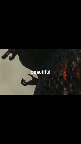 my poor baby i can't imagine how much pain he was in                             #godzilla #shingodzilla #ts #iloveyou #radiohead 