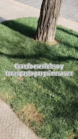 🤔 #humor #chile #fyp #leagueoflegends 