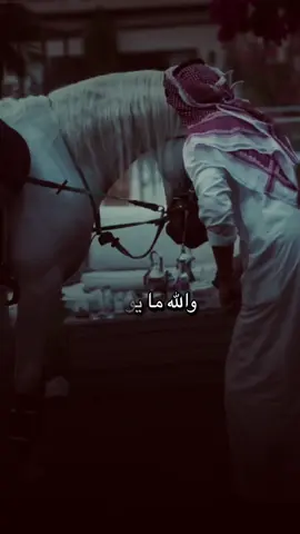 #أكسبلور_شعر_حكم_خواطر 