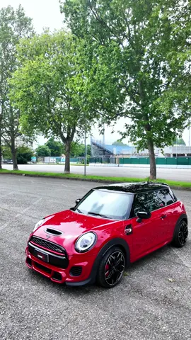 Dame un … Remus 💥🤣 . . . . #remus #dameungr #popsandbangs #cooper #c#coopersm#minicooperminicooperjcw #minif56 #j#jhoncooperworksm#minijcwc#cargramc#cargrammc#carlifec#carlifestylem#minilifem#minilifestylem#minifashionm#minifashionistam#minichallengem#minif56f#f56jcwj#jcwj#jcwminip#performancem#motorsportc#carpornh#hothatchm#minigraminstagood 