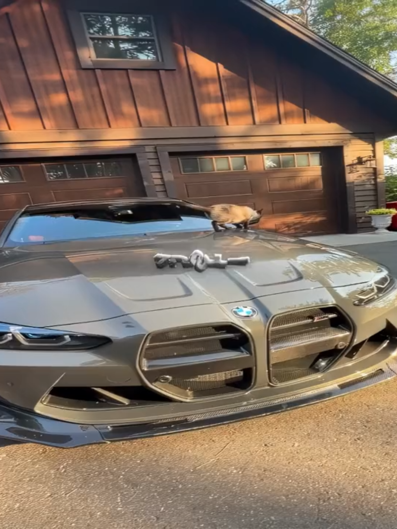 SONG : al1en_jump #supercars #hypercar #120fps #viral #fyppppppppppppppppppppppp #hypercarsvideos #supercar #newvid #please #clips #dontflop #caredit #capcut #fyp #jumpstylecore ★ upload method ★ TG: @editing_news