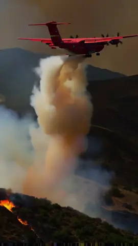 creatorsearchinsight# Forest#creatorsearchinsights  fires are a hot topic and we are trying to put them out. #fypシ゚ #pourtoi #tik_tok #viraltiktokvideo 