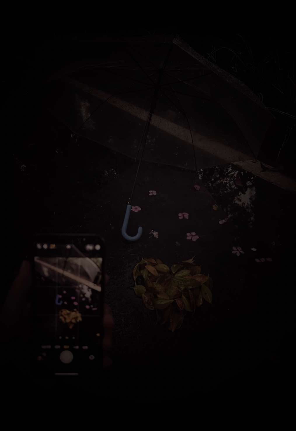 Xin em đừng ra đi… #nhachaymoingay #tamtrang #2tn 