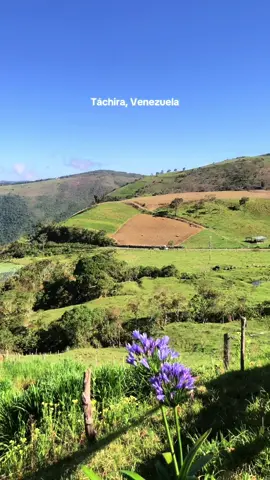 nuestra tierra🥹🤍 #venezuela #tachira #turismo #fyp 