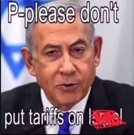 Waiter,waiter! Less trade please! #tokugawa  #japan #israel  #america #usa #tariff #politics #meme #memes #memestiktok #fyp