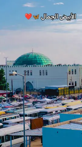 #لايك_متابعه_اكسبلور #الابيض_عروس_الرمال❤ 