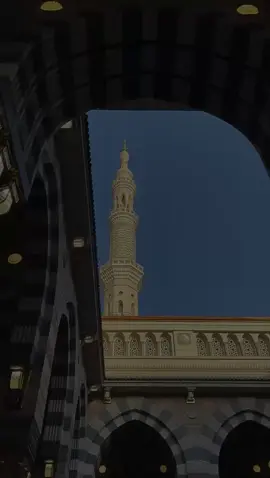 إِنَّ اللَّهَ وَمَلَائِكَتَهُ يُصَلُّونَ عَلَى النَّبِيِّ ۚ يَا أَيُّهَا الَّذِينَ آمَنُوا صَلُّوا عَلَيْهِ وَسَلِّمُوا تَسْلِيمًا #ادريس_ابكر  #ان_الله_وملائكته_يصلون_على_النبي  #قران  #قران_كريم  #سورة_الاحزاب   #ارح_سمعك_بالقران  #quran 