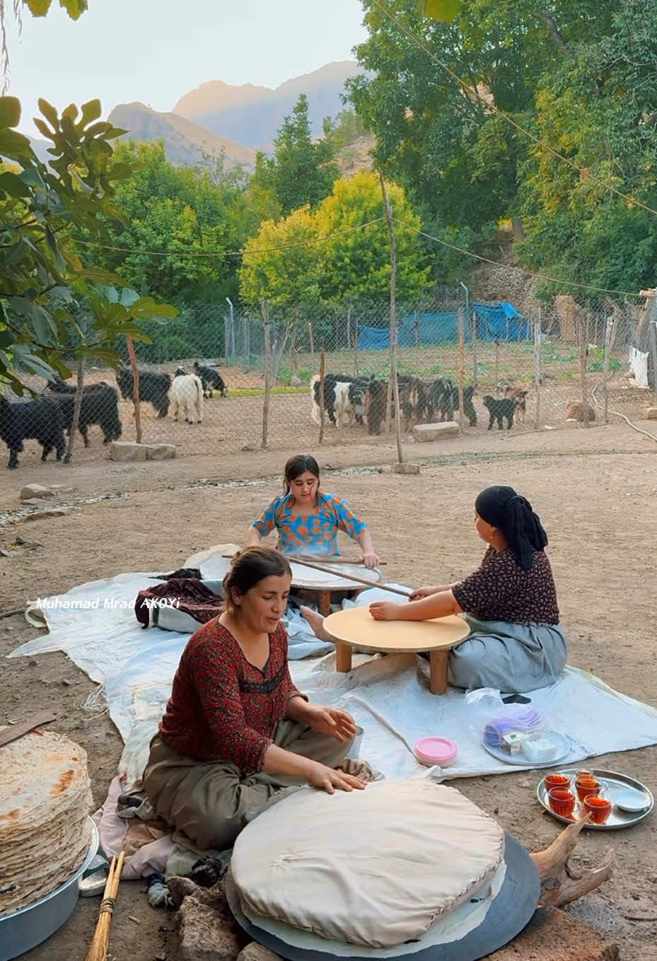 کردنی نانی تیری لە #لادێ