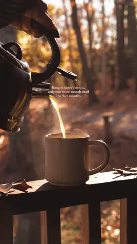 Who else is ready for the ‘ber months?? I can’t take the heat anymore 😭🍂🍁 #autumn #autumnaesthetic #fall #falltok #cozyvibes 