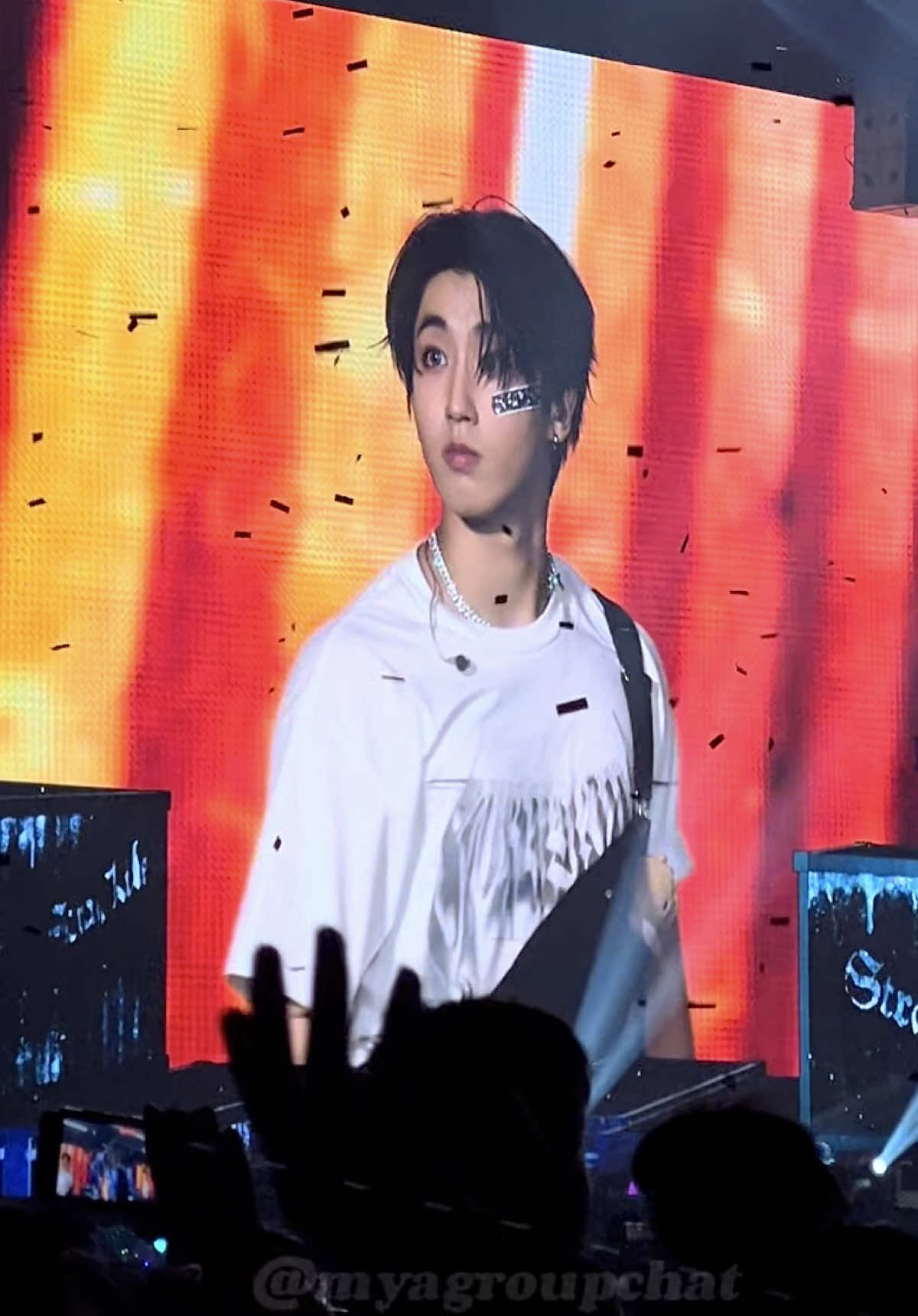 Han Jisung everybody ✋🏽🙂‍↕️🤚🏽 #Straykids #hanjisung #hanjisungedit #hanjisungstraykids #skz #skzstay #hanjisungfancam  #skztyp #straykidstour #dominateworldtour #스트레이키즈 #kpop #stayfyp #skzconcert #dominATE #kpopconcert 