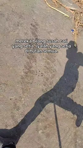 #storywa #fypviral ##CapCut 