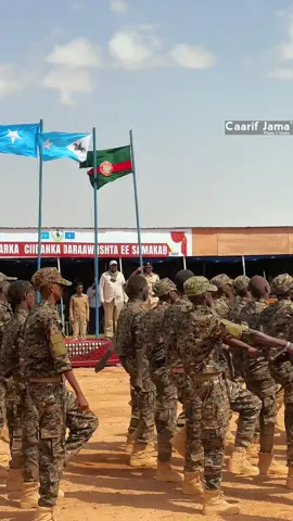 Xoogweynta Waqooyi Bari State of Somalia 🇸🇴🔥#peace #somaliarmy #CapCut #Laascanood #sool #somalitiktok #for #football #sport #tiktok #foryou #foryoupage #fyp  #fyp #fypage #somalia #somaaliya #caarif