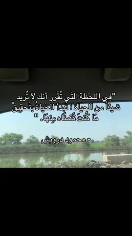 #فلسطين #مصر #اقتباسات_عبارات_خواطر🖤🦋❤️ 