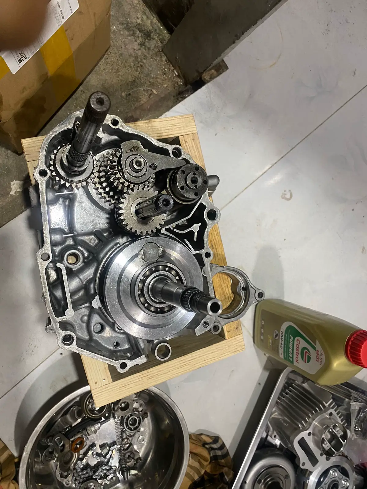 54 + 1 đống Tiền :))) #redleovietnam #TA #wavedream #54redleo4val 