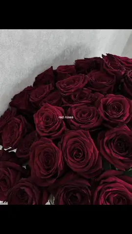 for repost 🌹❤️‍🔥 // #rose #redroses #repost #fyp #dc #forrepost #CapCut 