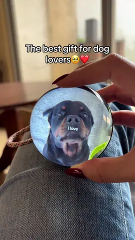 It’s the best gift I got🥹 - Is a personalized crystal ball that plays your favorite videos. Perfect for remembering your favorite memories with your dogs🐶💕 #doglovers #crystalball 