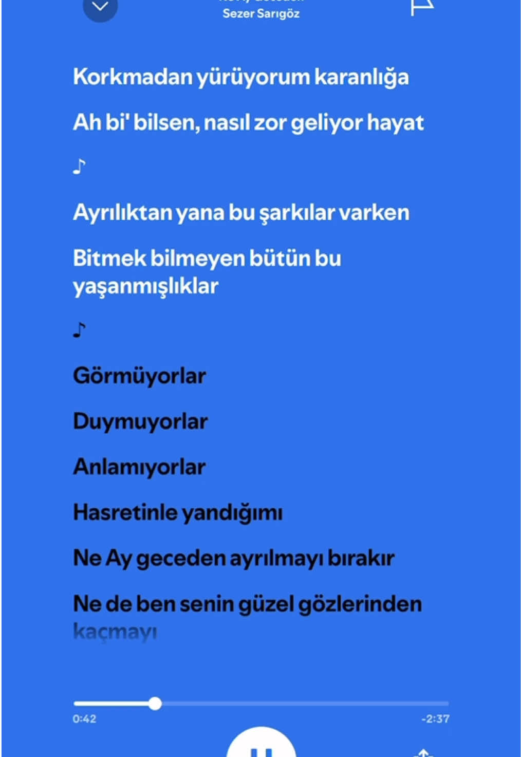 Anlamıyorlar hasretinle yandığımı #znslyrics #spotify #sezersarıgöz #neaygeceden  