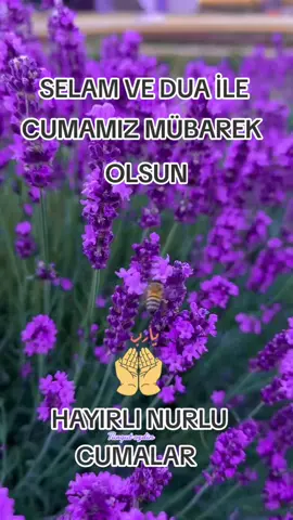 #selamveduaile #cumamizmubarekolsun #hayirliaksamlar🤲🕊❣ 