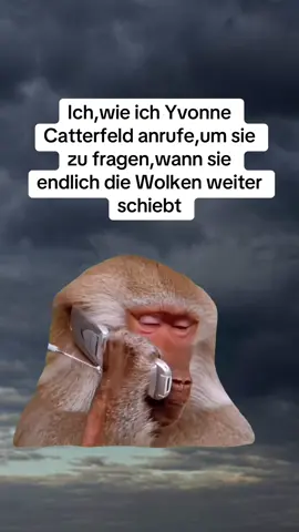 Mach dein Job #yvonnecatterfeld #wolken #schiebt #schlechteswetter #fürdichschiebeichdiewolkenweiter #regen #lustigevideos #humor #lustig 