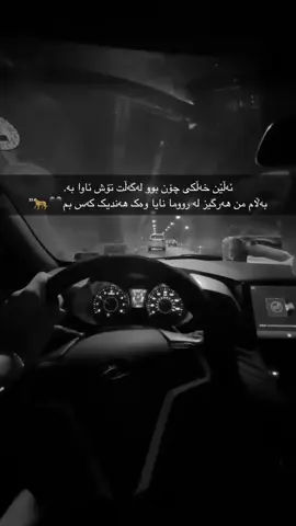 🖤🐆«