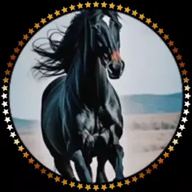 3rd crown dp order Complete 💯 TikTok team don't under review my video 📷#fyp #yallaludo😜 #creatorsearchinsights #customized #tranding #unfreezmyaccout #likelikelikelikelikelikelike 
