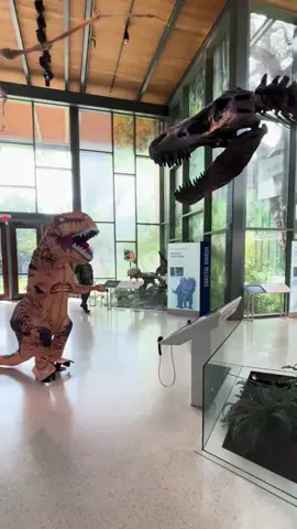 Cue the dino drama—it’s the last day of Jurassic July 🦖💀 Fossilize your plans and head to the Witte before it’s gone for good!