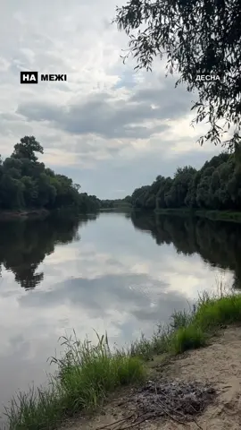 Десна перед зливою 