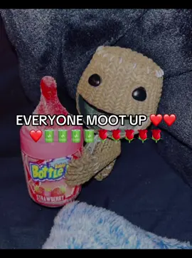 MOOT UP #sackboy #moot #xyzbca #fyp