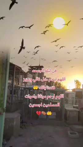 #สตอรี่ความรู้สึก #CapCut #اليله_الجمعة_خل_نذكر_امواتناا #فقيدي_أبي #تصويري #اكسبلور 