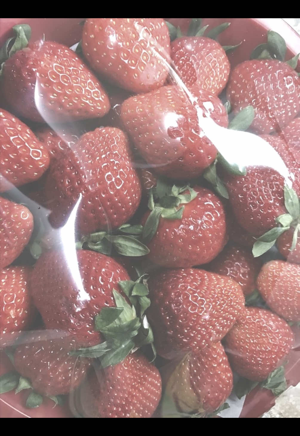 #влесгдемерцаютсветлячки 