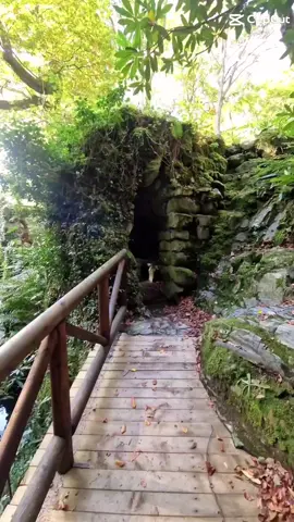 One from the drafts on my old phone that deserves to be shared 🥰- My favourite forest at the best time of year ❤️🌳🍂🫶🍁💙 #tollymoreforestpark #tollymore #tollymoresteppingstones  #autumn #autumnwalks #autumncolours #forest #forestwalk #getoutside #grateful #scenic #freshair #outdoortherapy  #northernireland #❤️ 