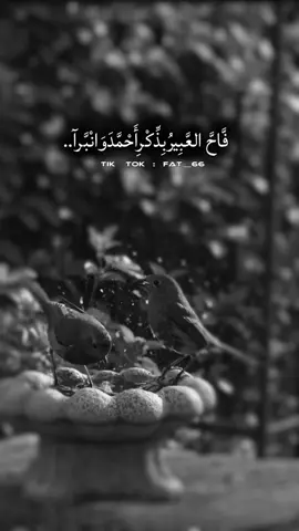 #CapCut #اللهم_صل_وسلم_على_نبينا_محمد #اكثروا_من_الصلاة_على_نبينا_محمد #سبحان_الله_وبحمده_سبحان_الله_العظيم #خواطر #عبارات #قوالب_كاب_كات #❤️ 