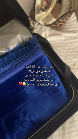 🥺❤️‍🩹 #كربلاء #كربلاء_مدينة_العشق_والعاشقين #الامام_الحسين #fypage #اكسبلور #explore #سفره #الاربعينيه #kuwait #الكويت 