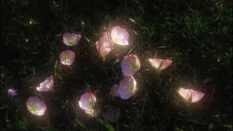 Release it? #dipiens #viralsong #MentalHealth #aesthetic #angelcore 