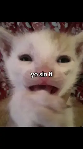 🤭💞🤭💞🤭💞🤭💞🤭💞