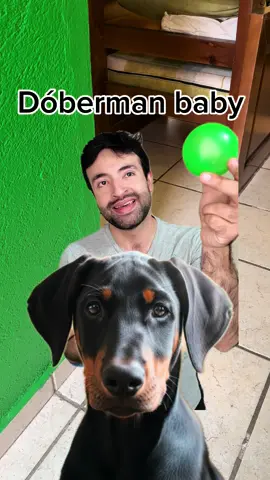 #perros #doberman #comedia #mascotas Referencias Goat
