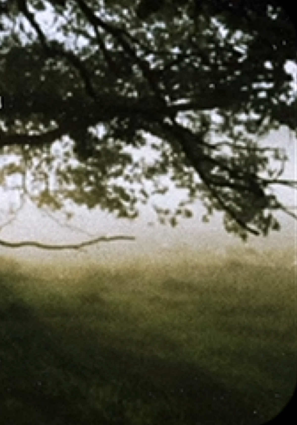 #محمد_الصبيحي#دعاء#الجمعه#الجمعة#الكهف#اكسبلورexplore #اكسبلور#fyp #viral #اجر 