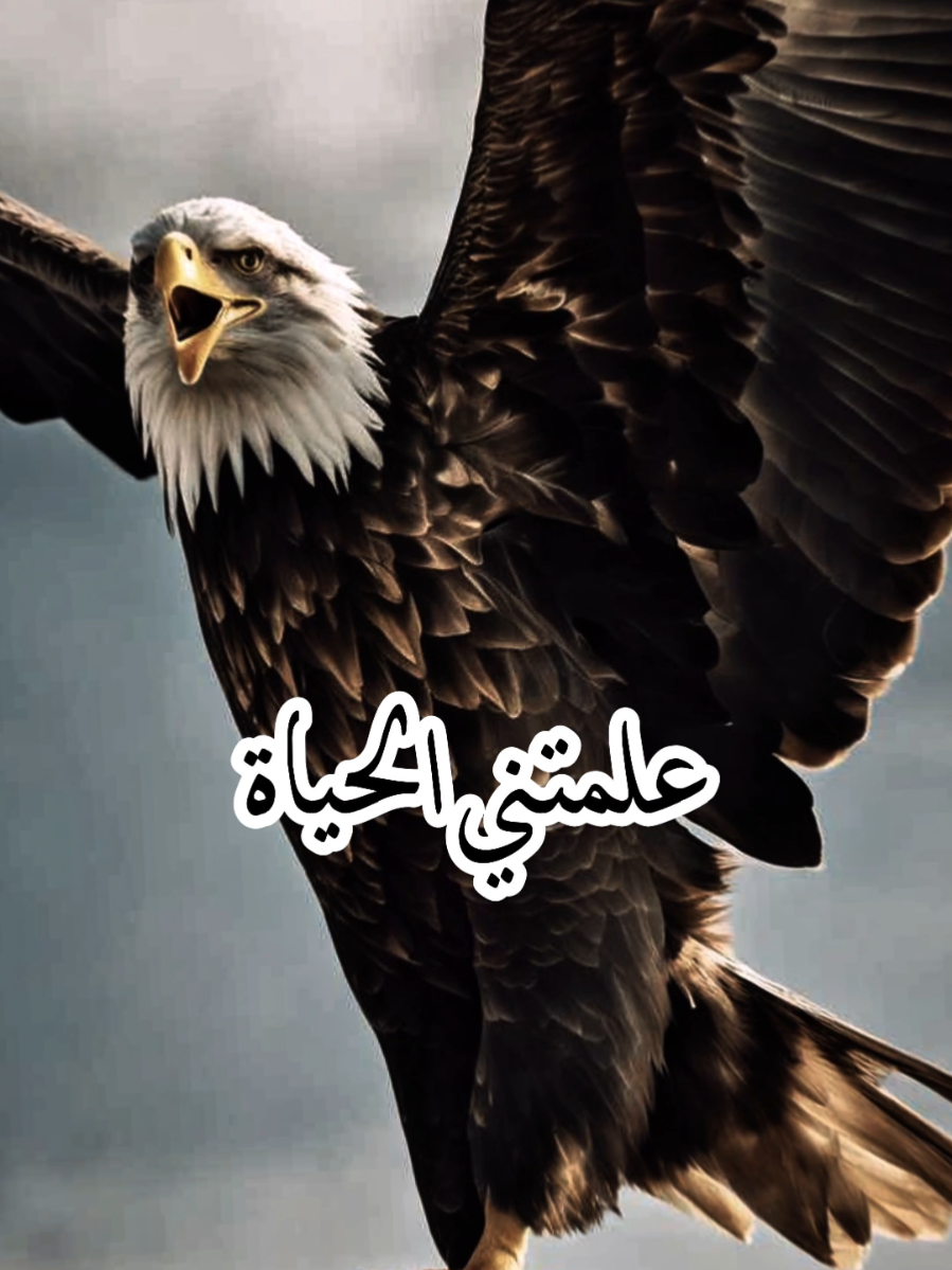 علمتني الحياة #حكمة_أعجبتني #حالات_واتس #اقتباسات #حكمة_اليوم #خواطر #عبارات #كلام_من_القلب #foryoupage #powrfullo 