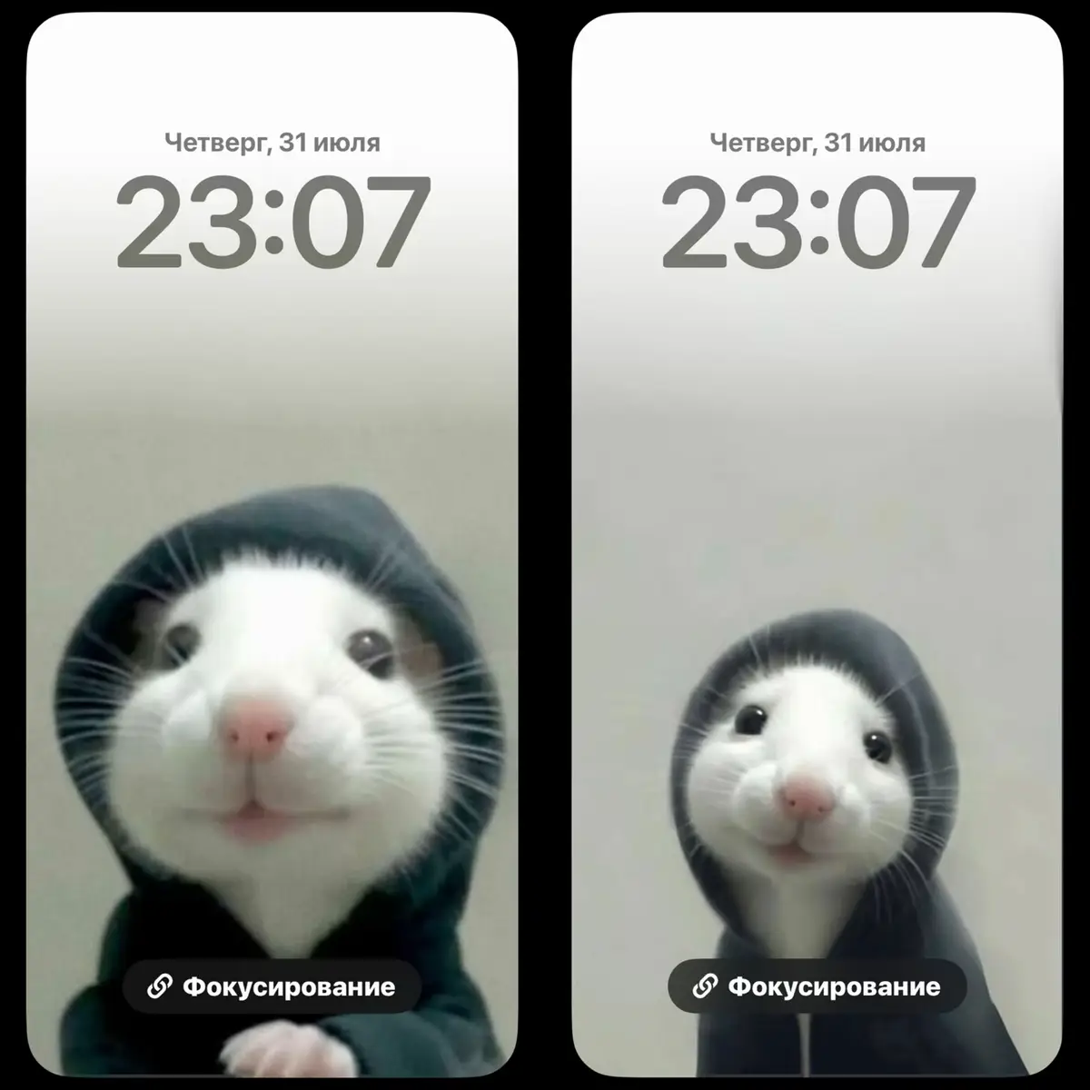 #парные #обоинателефон #обоидлятелефона #обоинателефон #wallpapervideo #wallpaperswallpaper #мыша #обоидлятелефона #wallpaperswallpaper #кошка #парные #sonic2678 #телефонскиеобои 