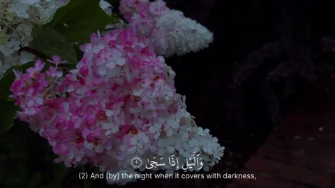 Alhamdulillah  #islam #quranvideo #viralvideos #fyp #night 