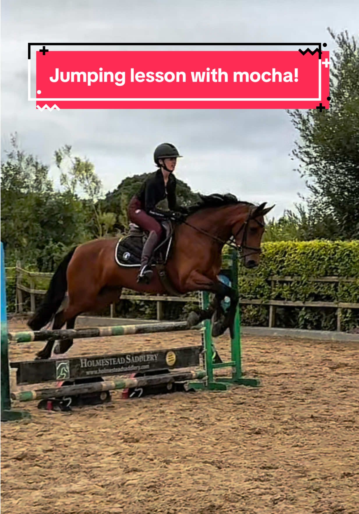 I think we can all agree I’m a genius right? ….RIGHT?!😭 @Sandstorm Equestrian  #horsetok #horseriding #equestrian #horsesoftiktok #fyp 