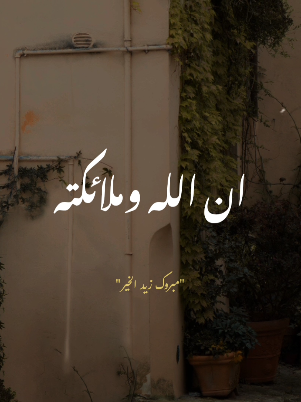 #مبروك_زيد_الخير  #صلي_علي_النبي  #يوم_الجمعه 