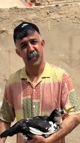 #حسابي_الحتياطي #شنياليوم 
