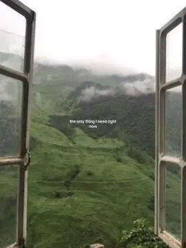 Its a craving #foryou #fyp #peaceful #peace #forest #foruyou #alone #leaving #cozy #inspiration #cabin #mountain #mountains #trees #nature #healthylifestyle 