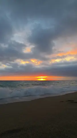 يفيد بأيه الندم ❤️‍🩹💔 #تصويري #اليوم #سكارليت #غروب #بحر #WelcomeWassouf 