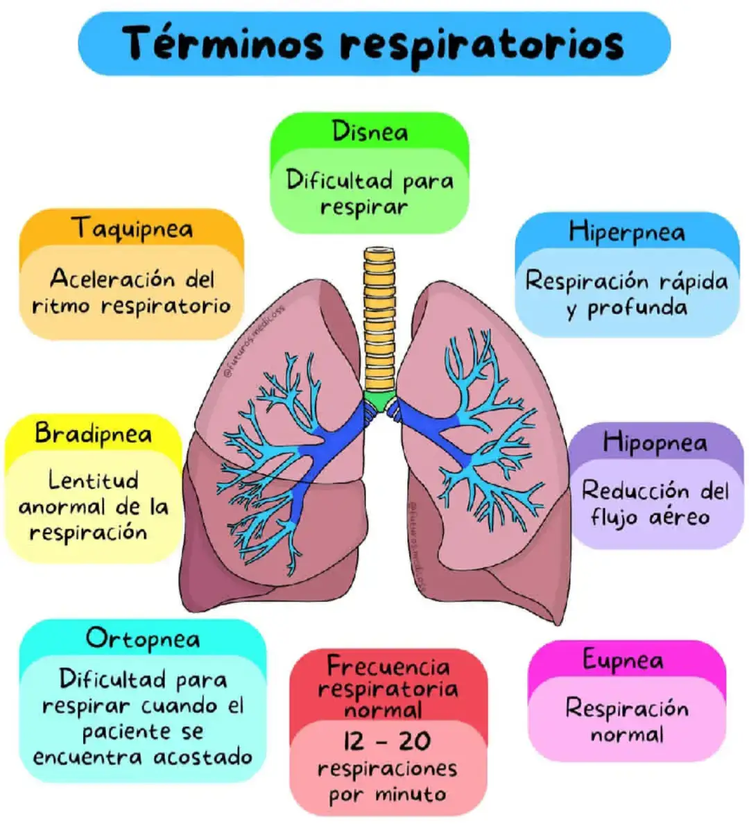 #EstudianteDeEnfermeria #FYP #viral #parati 